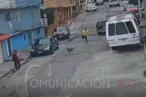 Video: Fiscalía mexiquense busca a estos hombres por maltrato animal en Naucalpan